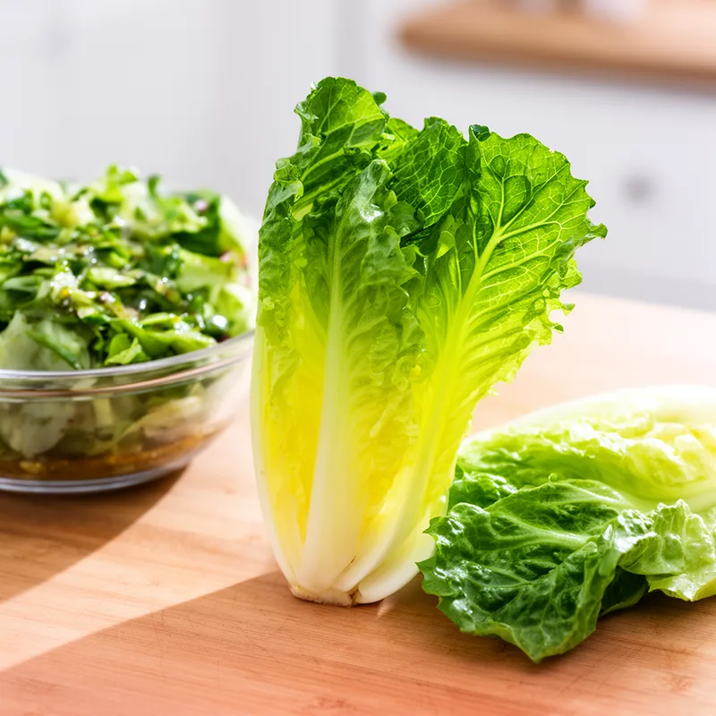 chicory escarole