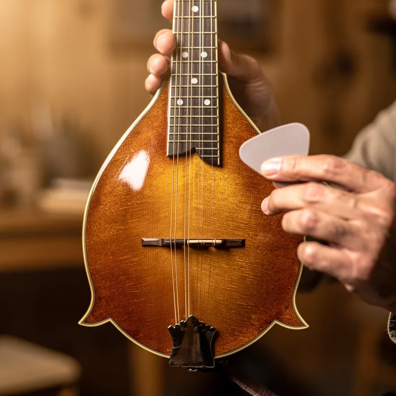 mandolin