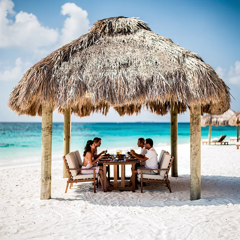 palapa