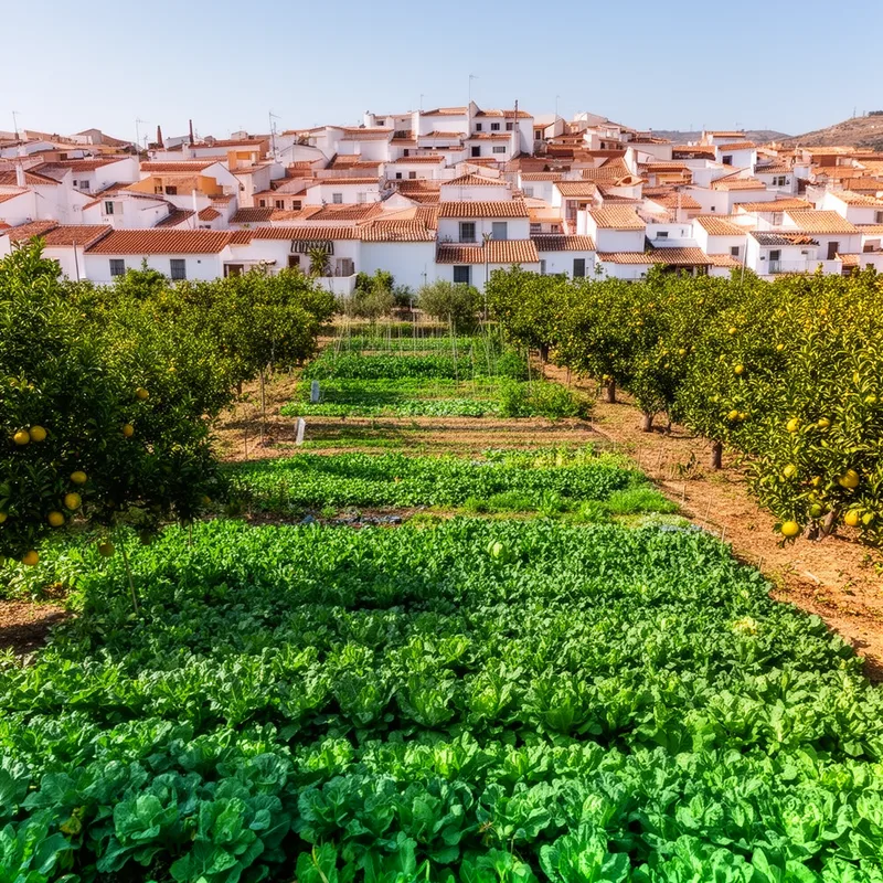 Huerta