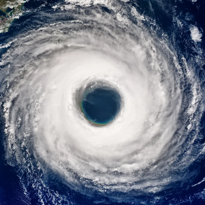 eye