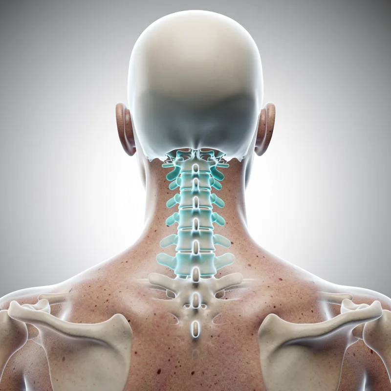cervical