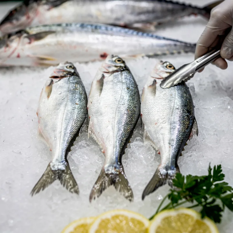 whiting