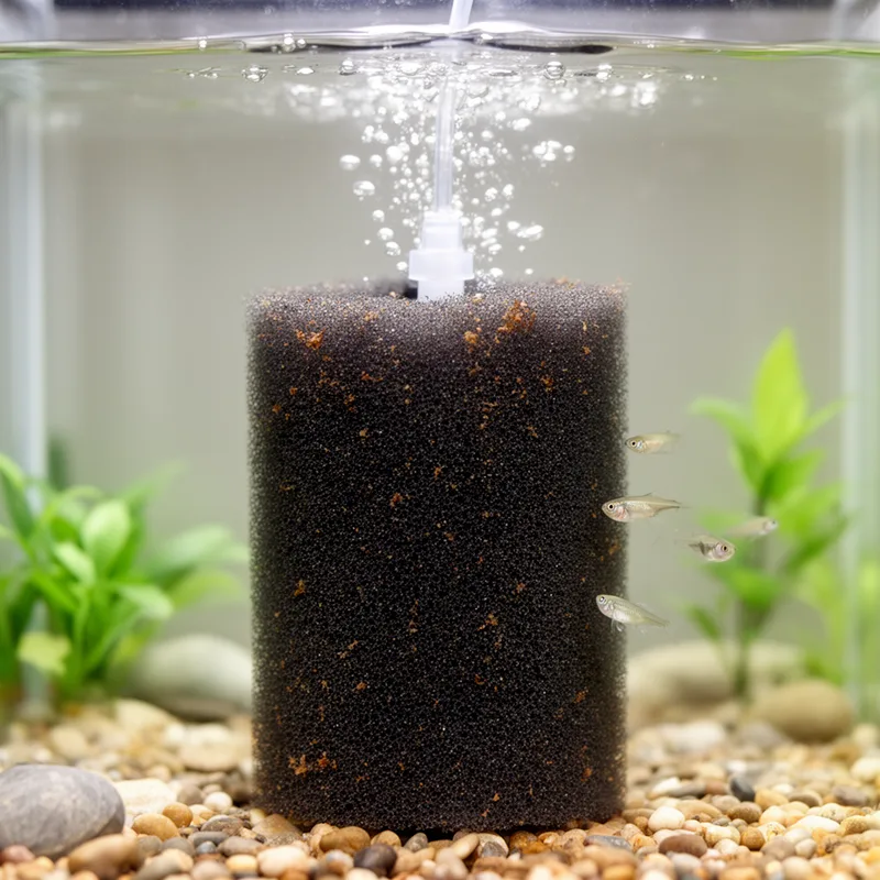 sponge filter