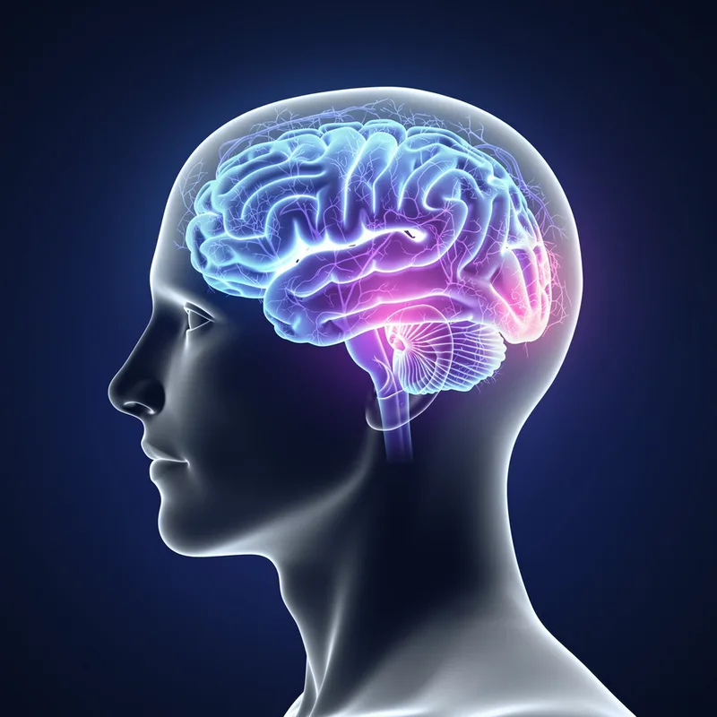 cerebral