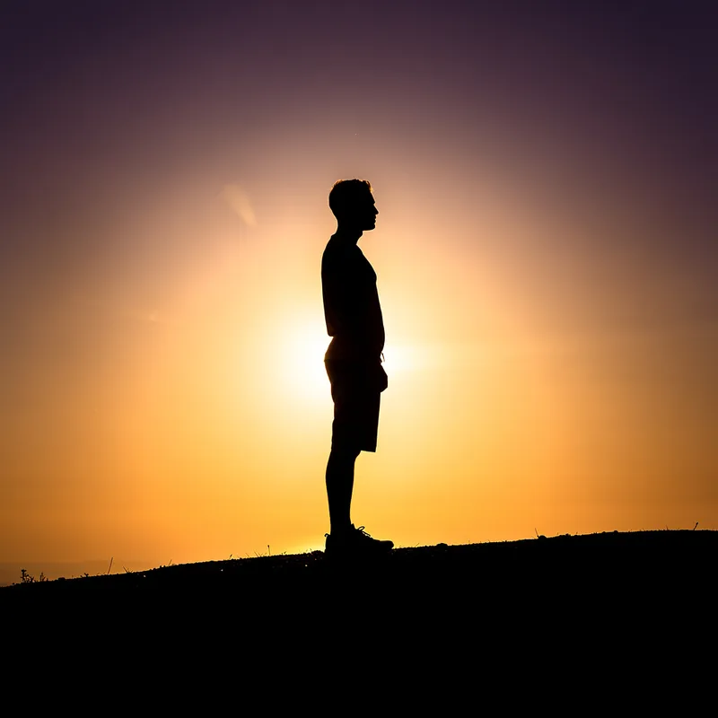silhouette