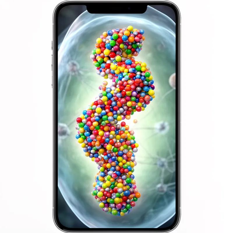protein molecule