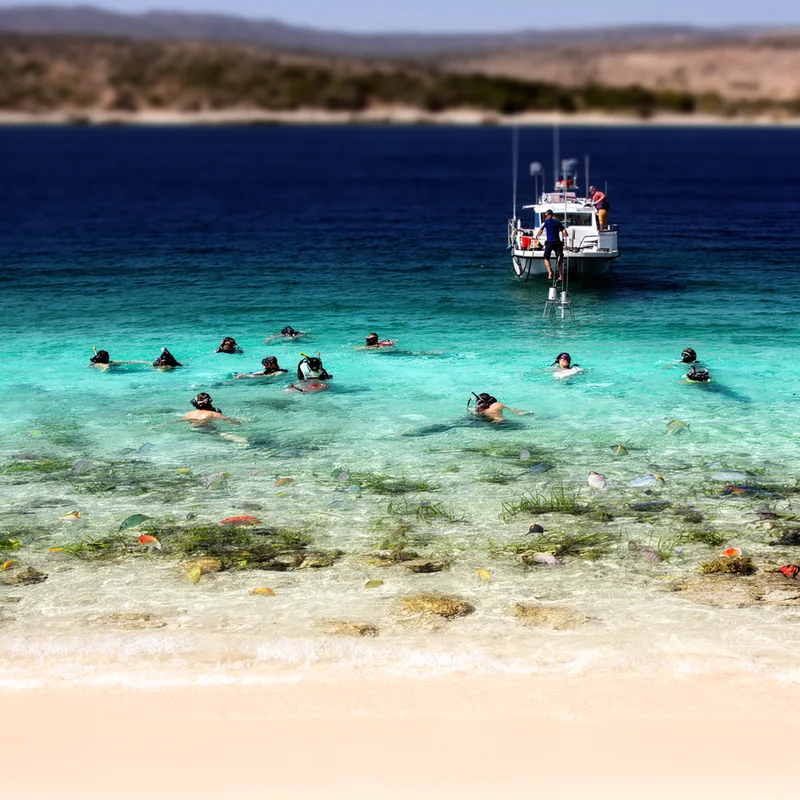 nearshore