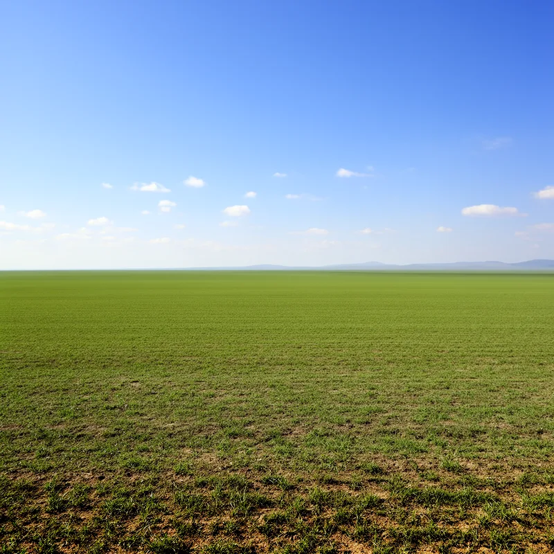 flatness