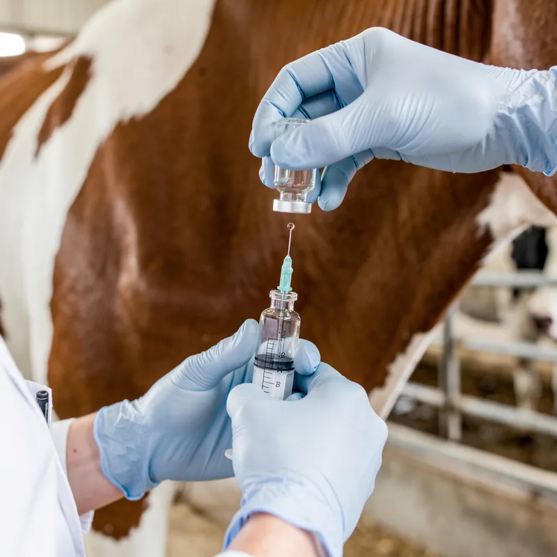 inoculant