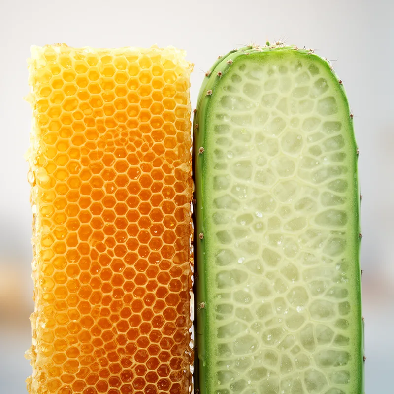 cellular
