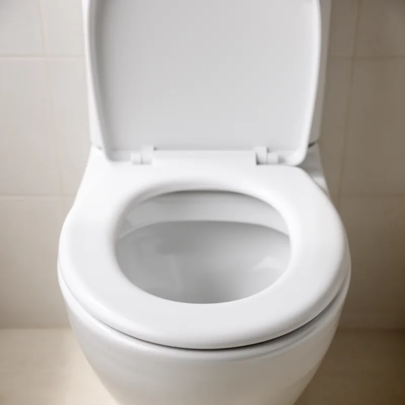 toilet seat