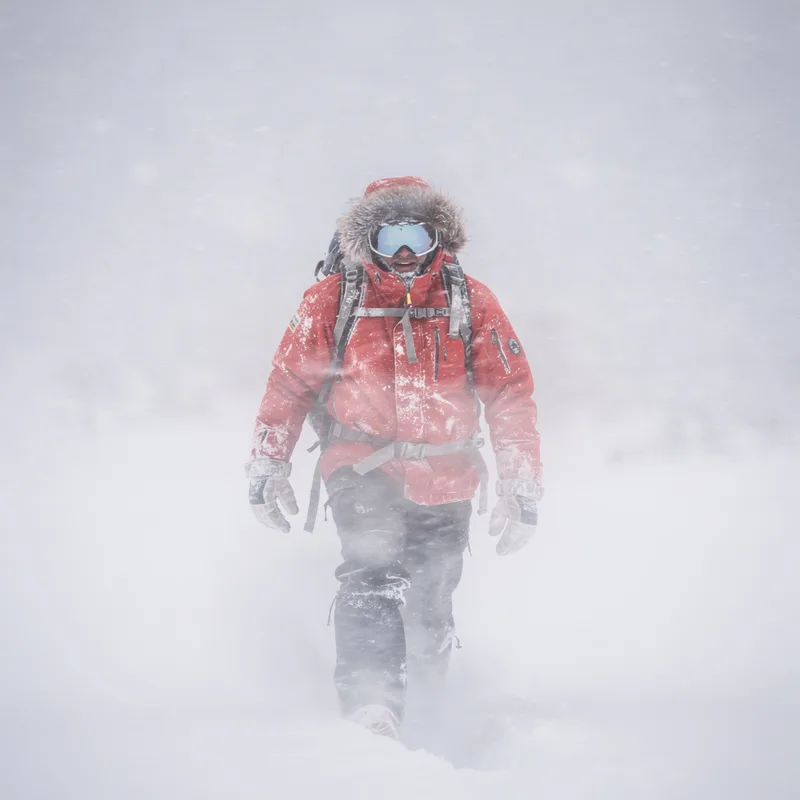 whiteout