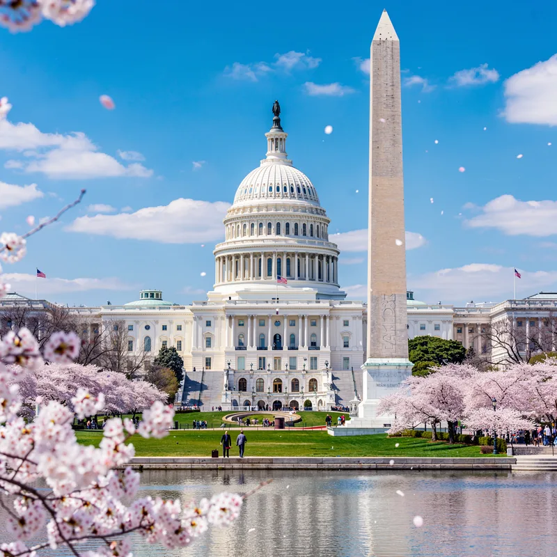 DC