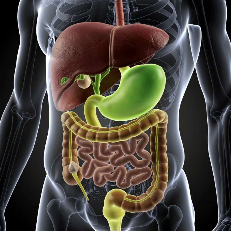 biliary