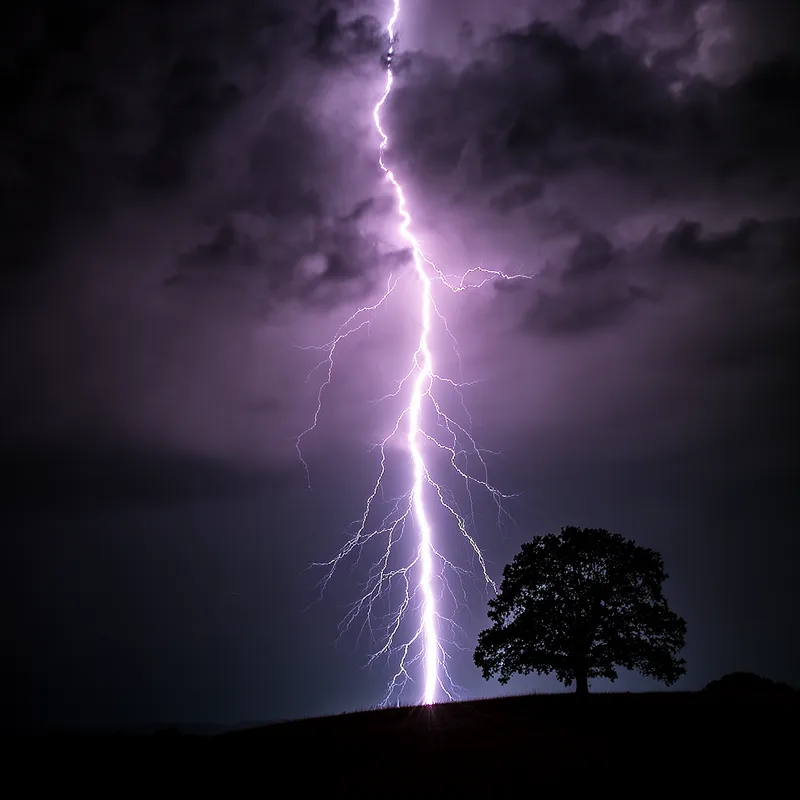 bolt