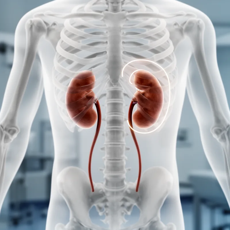 nephroptosis