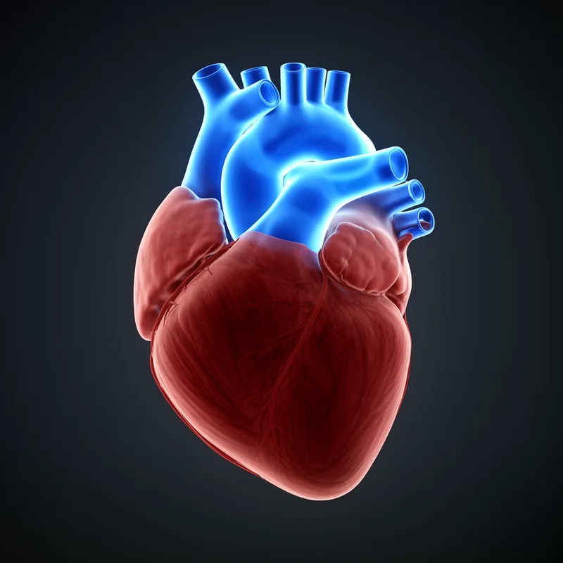 atrial