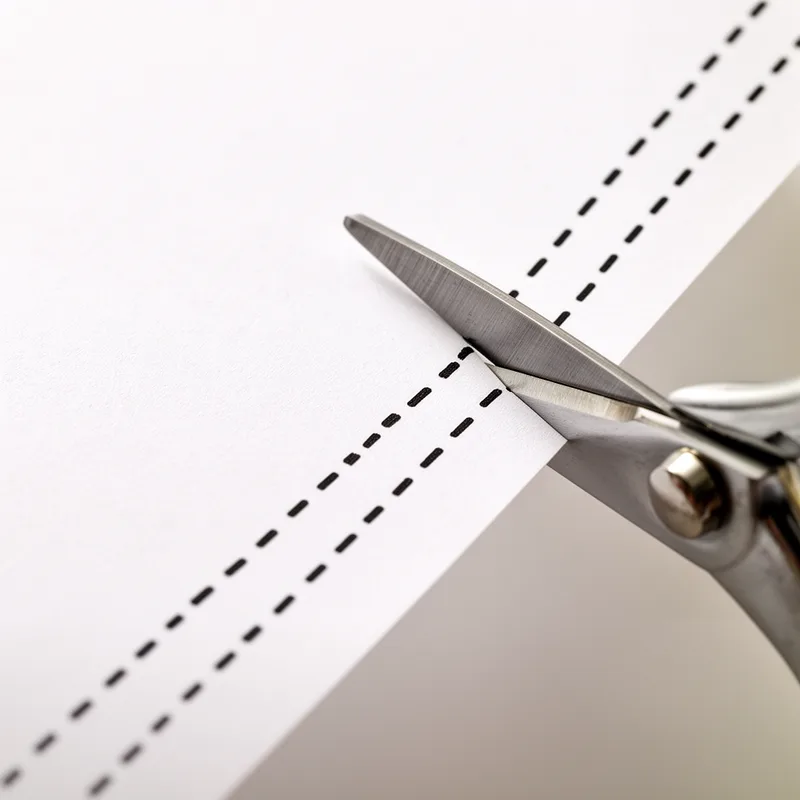 dotted line