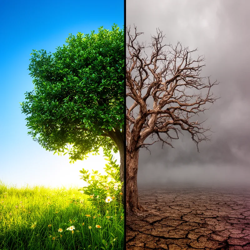 environmental condition