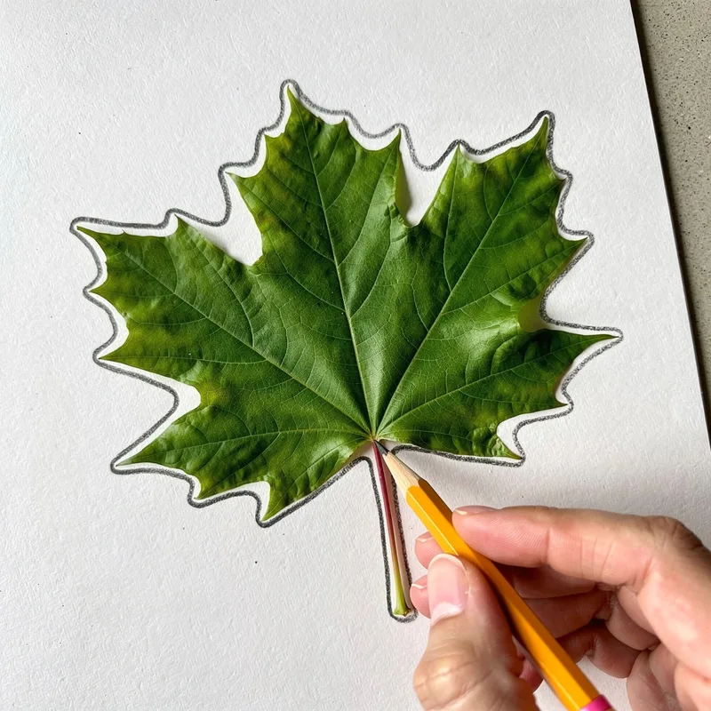 to trace