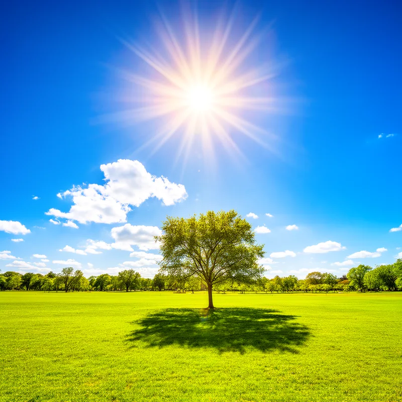 sunny day