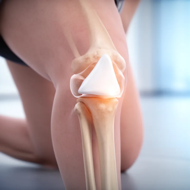 kneepan