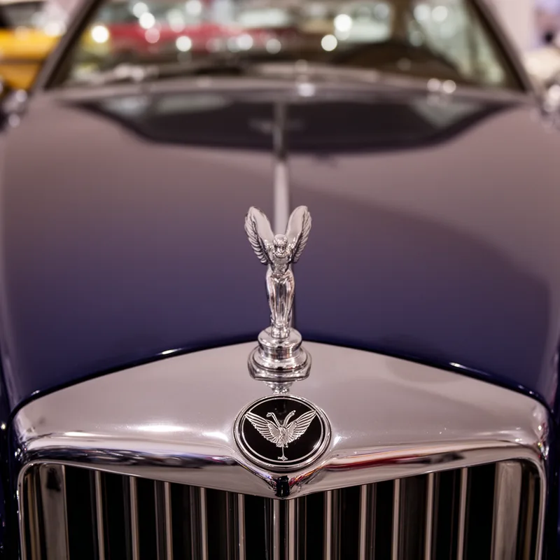 hood ornament
