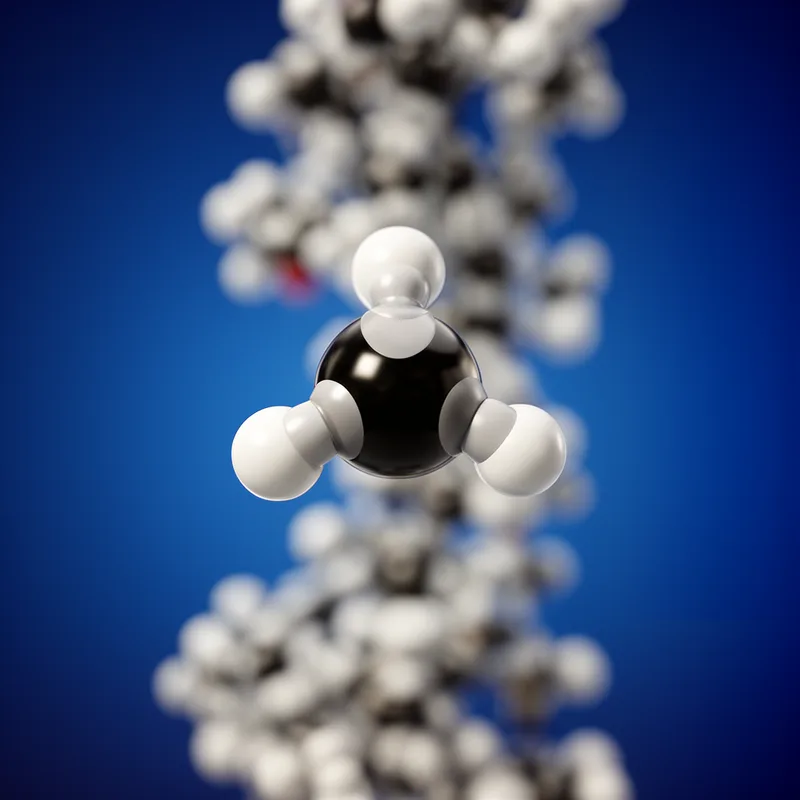 methyl