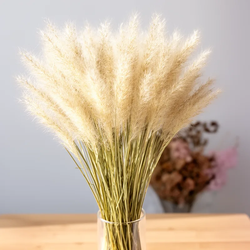 cloud grass