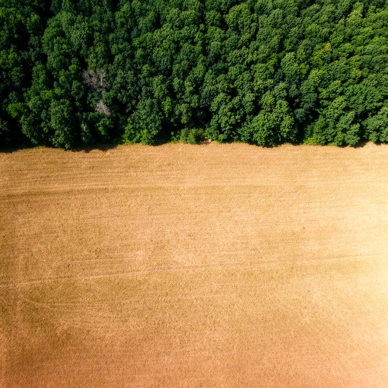 nonforest