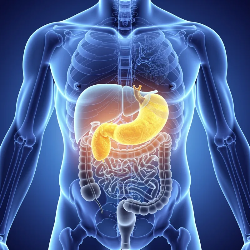pancreatic