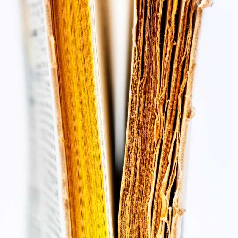 to yellow