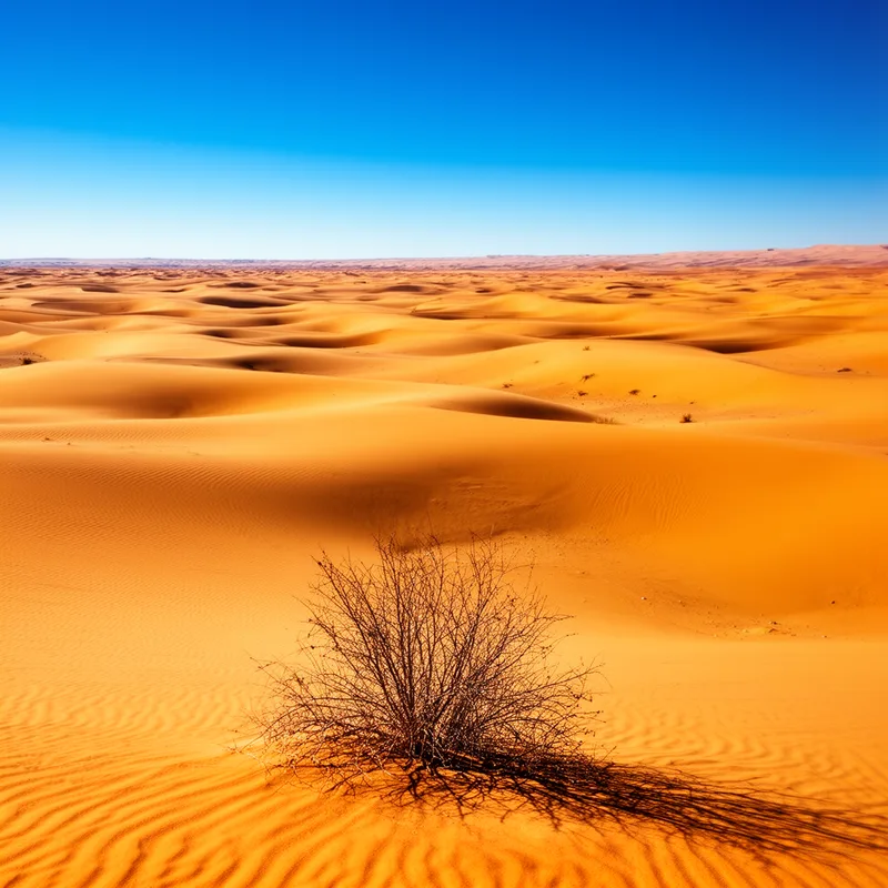 desert