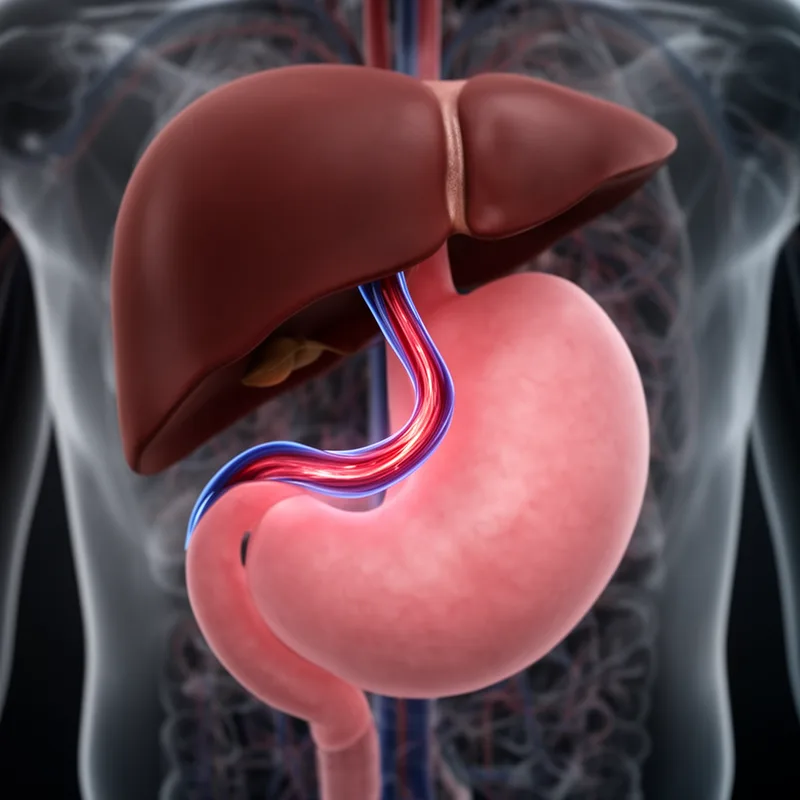 pyloric vein