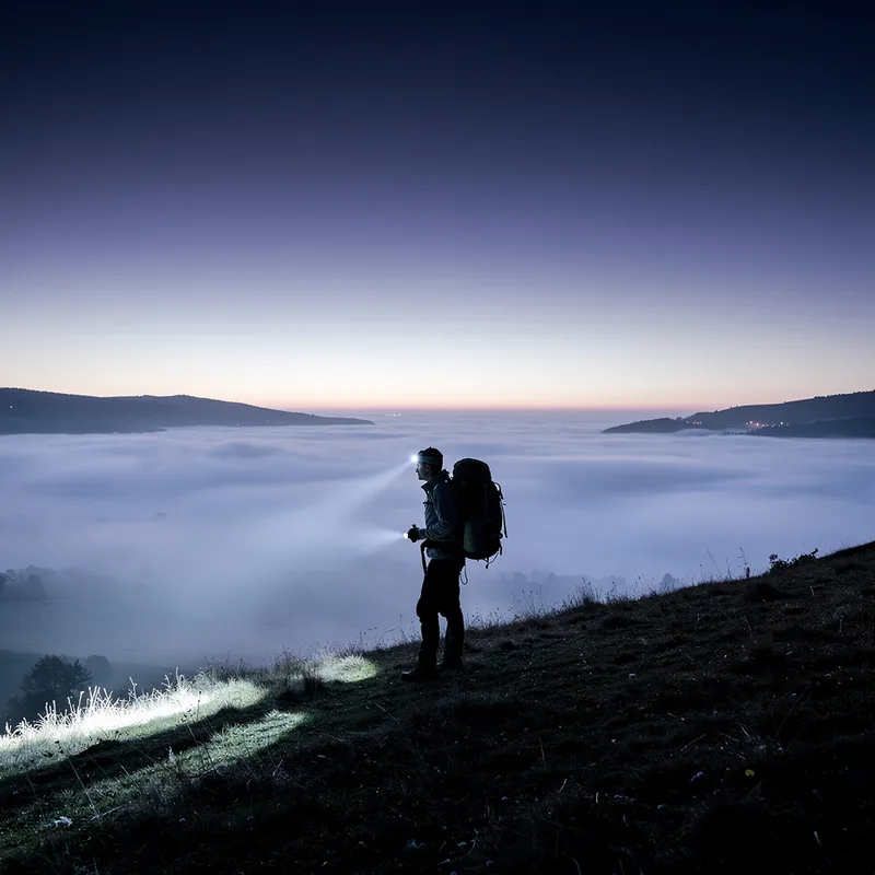 predawn