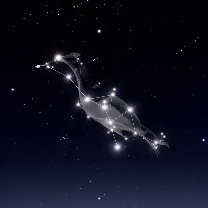 Crane