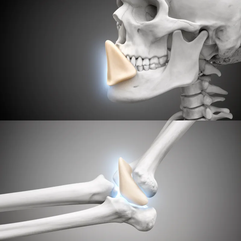 coronoid