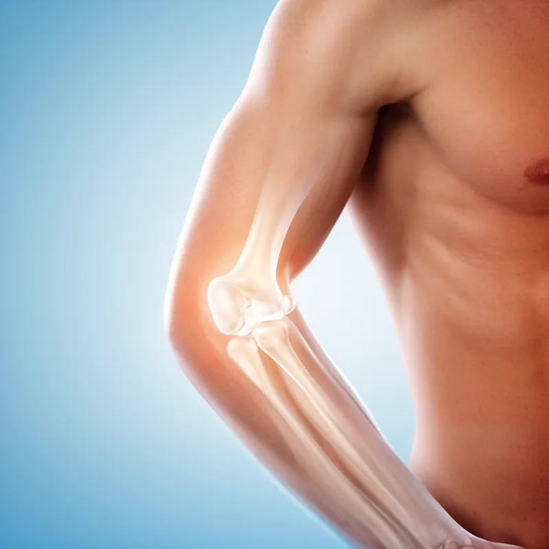 elbow joint