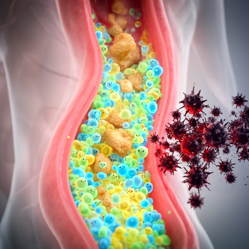 probiotic microflora
