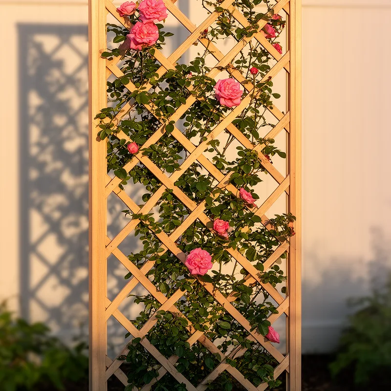 latticework