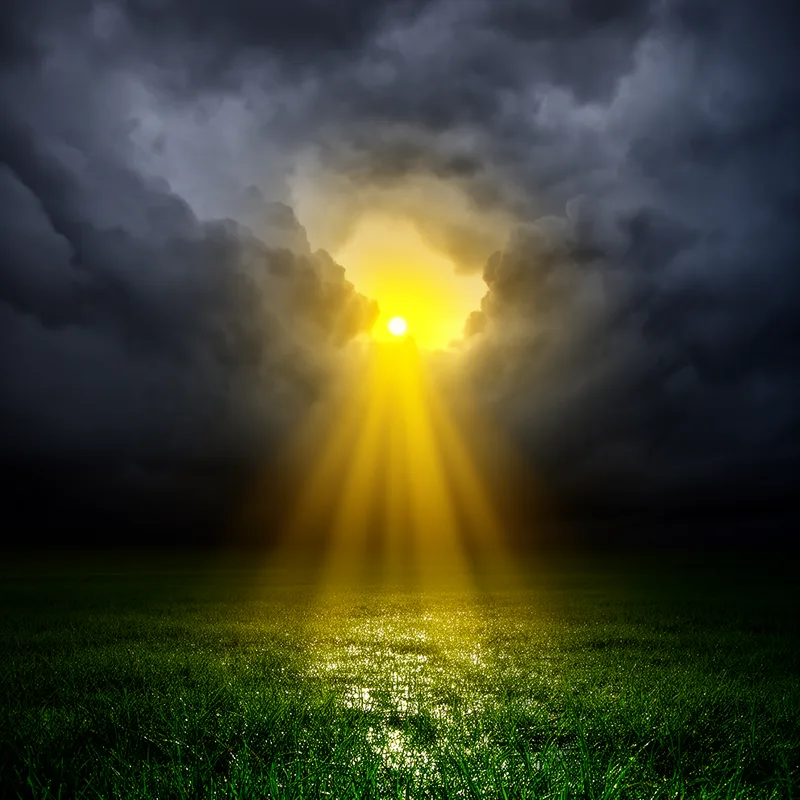 to reemerge