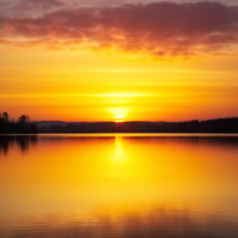 yellow-orange