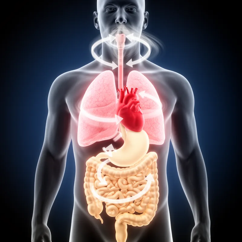 bodily process