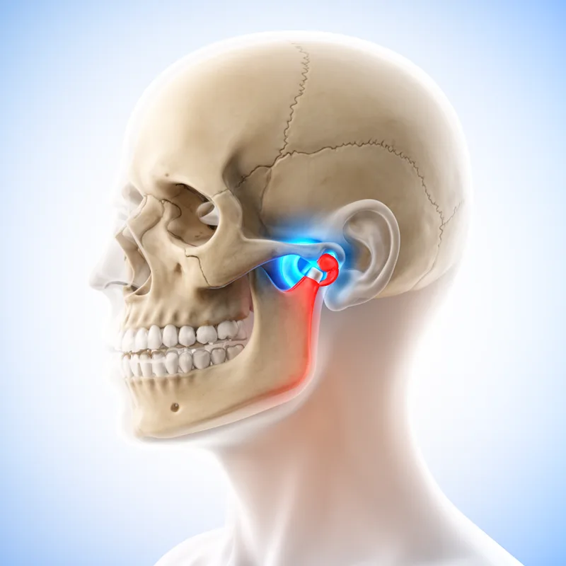 temporomandibular joint