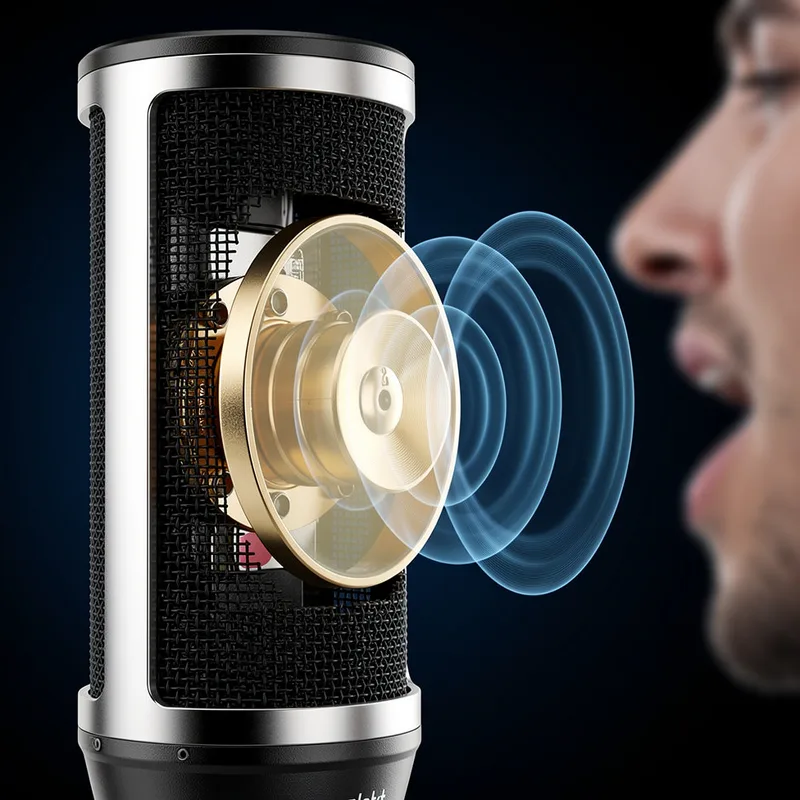diaphragm