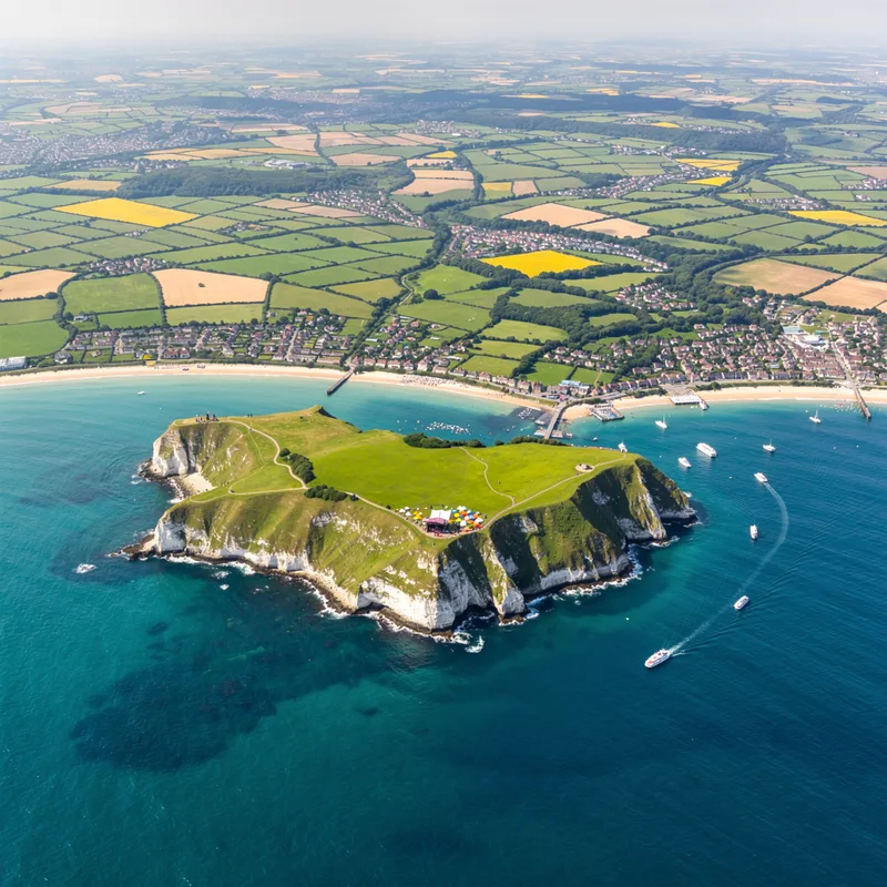 Wight