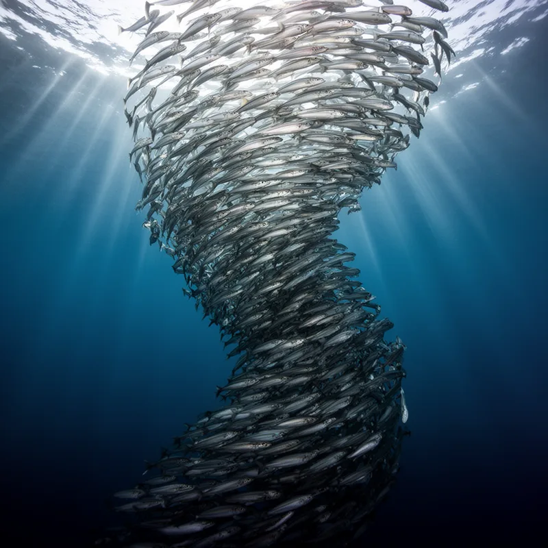 emergent
