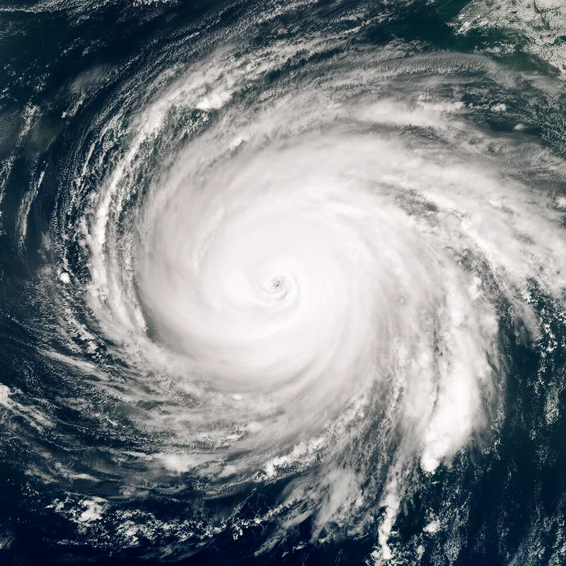 cyclonal