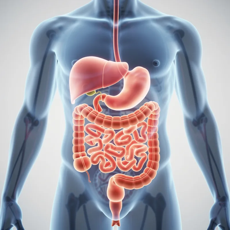 gastrointestinal
